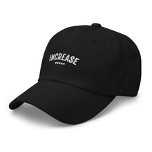 Load image into Gallery viewer, White on Black Increase Hat
